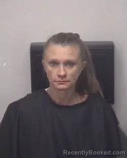Recent Mugshot Image for PAMELA DAWN DANIELS in Cleveland County, North Carolina