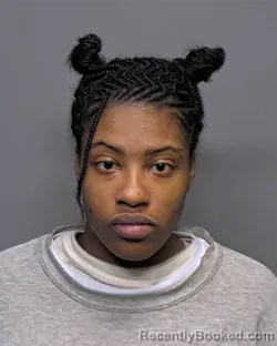 Recent Mugshot Image for Dunisha Olivia Pinner in Porter County, Indiana