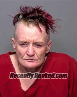 Recent Mugshot Image for Dannyelle Faye Reid in Porter County, Indiana