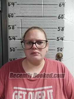 Recent Mugshot Image for DANIELLE WILLIS in Ballard County, Kentucky