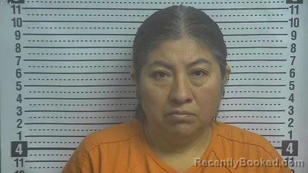 Recent Mugshot Image for LUCIA PEREZ-VARGAS in Boyle County, Kentucky