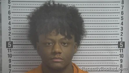 Recent Mugshot Image for MAREO ANTHONY FUQUA IRVIN in Boyle County, Kentucky