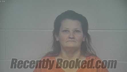 Recent Mugshot Image for EDITH STRANGE in Carroll County, Kentucky