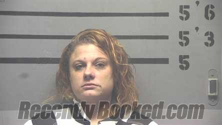 Recent Mugshot Image for ANN MARIE EARL in Hopkins County, Kentucky