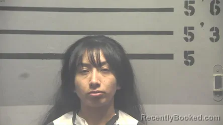 Recent Mugshot Image for LUZ LIZBETH GONZALEZ in Hopkins County, Kentucky
