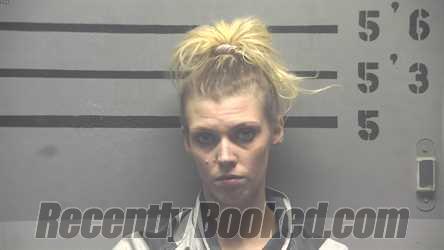 Recent Mugshot Image for TANYA LEE HAMBY in Hopkins County, Kentucky