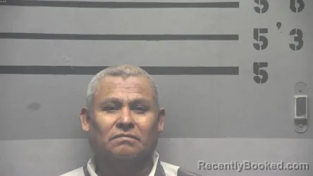 Recent Mugshot Image for JOSE DOMINGO MENDOZA-ANGEL in Hopkins County, Kentucky