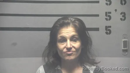 Recent Mugshot Image for ERIN MORIAH TRAVIS in Hopkins County, Kentucky