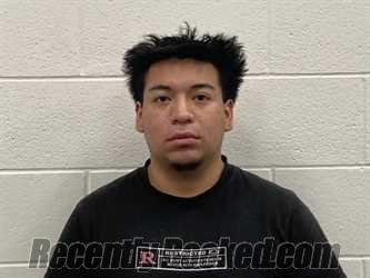 Recent Mugshot Image for MARIO ANDREW HAAVIG in Kenton County, Kentucky