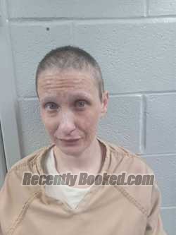Recent Mugshot Image for AMBER CLARK in Logan County, Kentucky