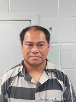 Recent Mugshot Image for PHAYVANH MOUNTRY in Logan County, Kentucky