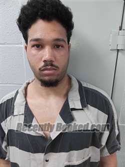 Recent Mugshot Image for YAN TRIANA MORENO in Logan County, Kentucky