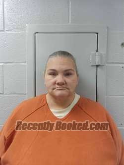 Recent Mugshot Image for JENNIFER SCHOOLER in Logan County, Kentucky