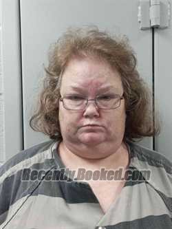 Recent Mugshot Image for LISA SWEETSIR in Logan County, Kentucky