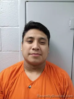 Recent Mugshot Image for JESUS MARTINEZ RAMOS in Logan County, Kentucky