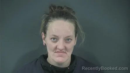 Recent Mugshot Image for VIRGINIA NEW in Russell County, Kentucky