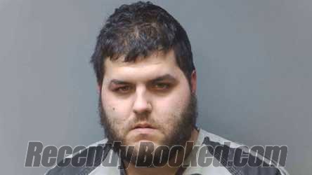 Recent Mugshot Image for TRISTAN JOHNSON in Simpson County, Kentucky