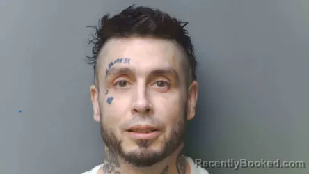 Recent Mugshot Image for MATTHEW MARTIN in Simpson County, Kentucky