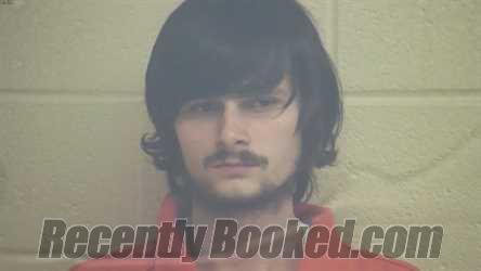 Recent Mugshot Image for KEAGAN DANIEL WEDDING in Webster County, Kentucky