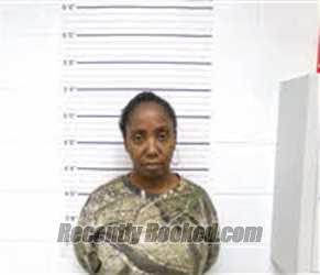 Recent Mugshot Image for NITCHELE CHERENE MANN in Pamlico County, North Carolina