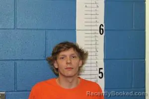 Recent Mugshot Image for DEVON NATHANIEL TIPTON in Calhoun County, Mississippi