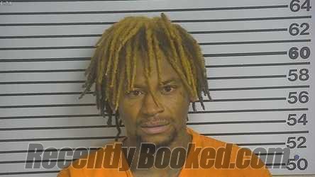 Recent Mugshot Image for LAVANTE DEON HAMILTON in Forrest County, Mississippi