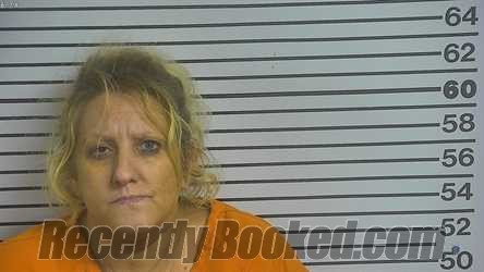 Recent Mugshot Image for Tiesha Mcgrew-Stiglet in Forrest County, Mississippi