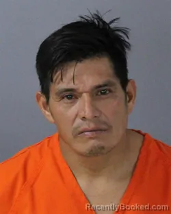 Recent Mugshot Image for ERLES NOLVERTO MATHEU in Madison County, Mississippi