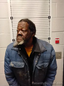 Recent Mugshot Image for DELANEY WORTHAM in Tate County, Mississippi