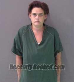 Recent Mugshot Image for DEANNA MARIE HUNT in Bell County, Texas