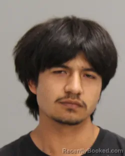 Recent Mugshot Image for MANUEL ALEJANDRO GALVAN in Brazos County, Texas
