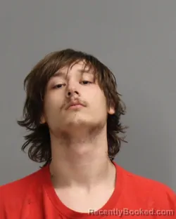 Recent Mugshot Image for Landon Lee Frenchmeyer in Brazos County, Texas