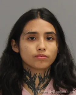 Recent Mugshot Image for GISELLE MELANIE LONGORIA in Brazos County, Texas