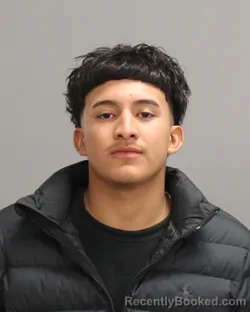 Recent Mugshot Image for WILLIAM MICHAEL DELGADO in Brazos County, Texas