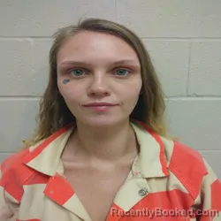 Recent Mugshot Image for ALEXIS MARIE ROGERS in Brown County, Texas