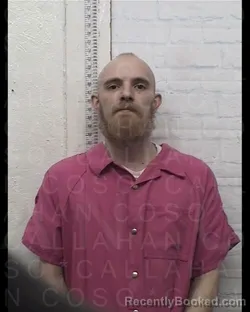 Recent Mugshot Image for STEVEN PAUL STEGNER in Callahan County, Texas