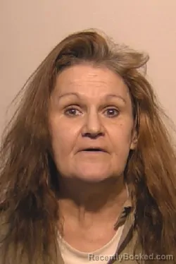 Recent Mugshot Image for Jody Ann McGee in Niagara County, New York