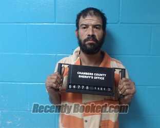 Recent Mugshot Image for Timothy Johnson in Chambers County, Texas