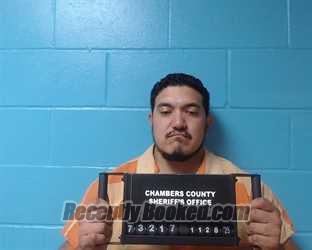 Recent Mugshot Image for David Zubia in Chambers County, Texas