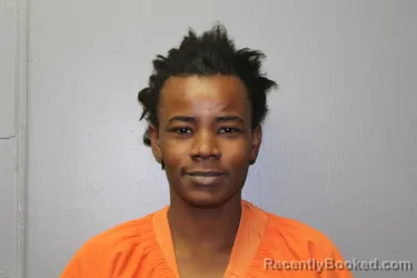 Recent Mugshot Image for TAMEKA M LISTER in Custer County, Oklahoma