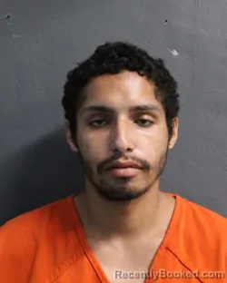 Recent Mugshot Image for RAUL LUIS RAMOS in Delaware County, Oklahoma