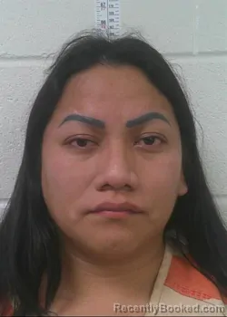 Recent Mugshot Image for ORANTE BONILLA MERLY BONERGE in Love County, Oklahoma