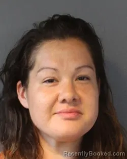 Recent Mugshot Image for EMALIE LAUREN VAN VLIET in Oklahoma County, Oklahoma