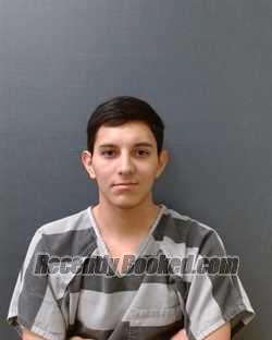 Recent Mugshot Image for SAGE ALEXANDER SANDOVAL in Comal County, Texas