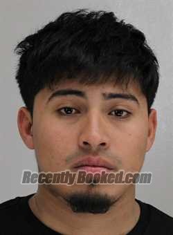 Recent Mugshot Image for LUIS CALLEJASCASTELLANOS in Dallas County, Texas