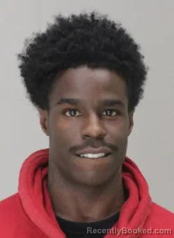 Recent Mugshot Image for DARIUS TAYLOR in Dallas County, Texas