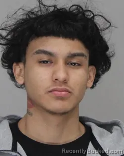Recent Mugshot Image for MICHAEL REYNOSO in Dallas County, Texas