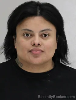 Recent Mugshot Image for JOSE GOMEZMORALEZ in Dallas County, Texas