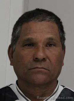 Recent Mugshot Image for SANTOS ELVIR in Dallas County, Texas
