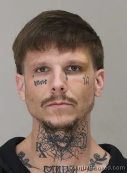 Recent Mugshot Image for MATT BENNETT in Dallas County, Texas